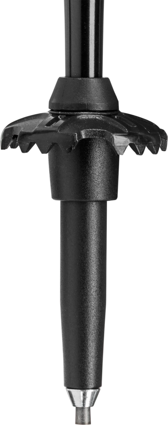 Buy the Leki Skysolo FX Carbon online at Leki