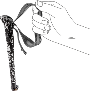 View the Leki Skysolo FX Carbon online at Leki
