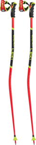 View the Leki WCR GS 3D online at Leki