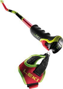 View the Leki WCR GS Carbon 3D online at Leki