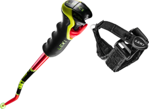 View the LEKI WCR Lite GS 3D Alpine Racing Ski Poles online at Leki