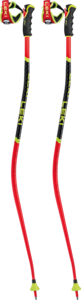 View the Leki WCR SG/DH 3D online at Leki