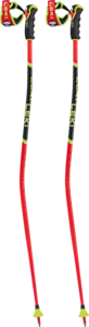 View the Leki WCR TBS GS 3D online at Leki