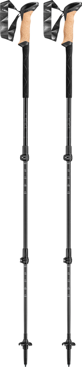 Buy the Leki Black Series Carbon online at Leki