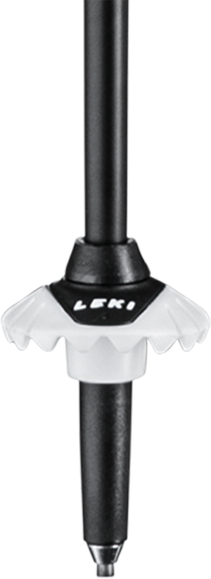 Buy the Leki Carbon 14 3D online at Leki