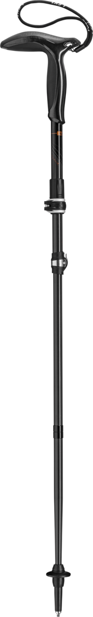 Buy the Leki Legend Series Micro (Single) online at Leki