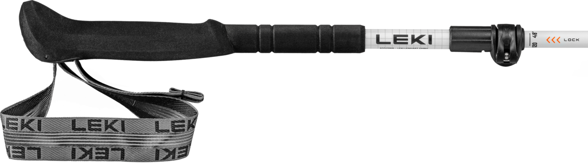 Buy the Leki Skytera FX Carbon SL online at Leki