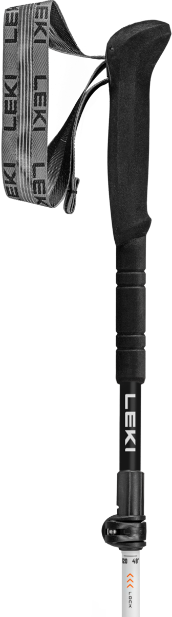Buy the Leki Skytera FX Carbon SL Compact online at Leki