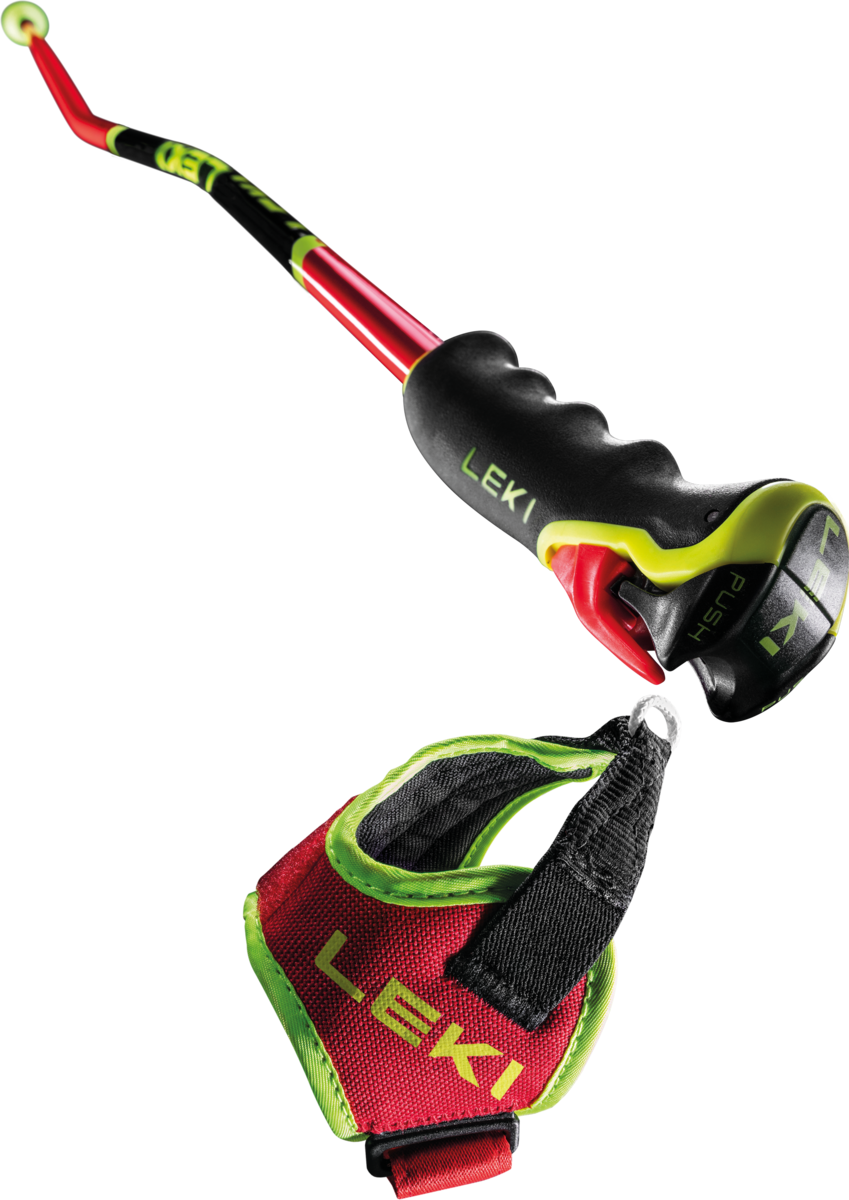 Buy the Leki WCR GS Carbon 3D online at Leki