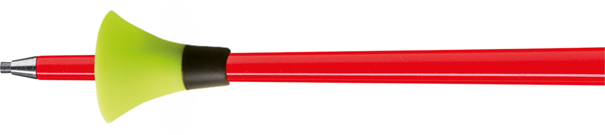 Buy the Leki WCR GS Carbon 3D online at Leki